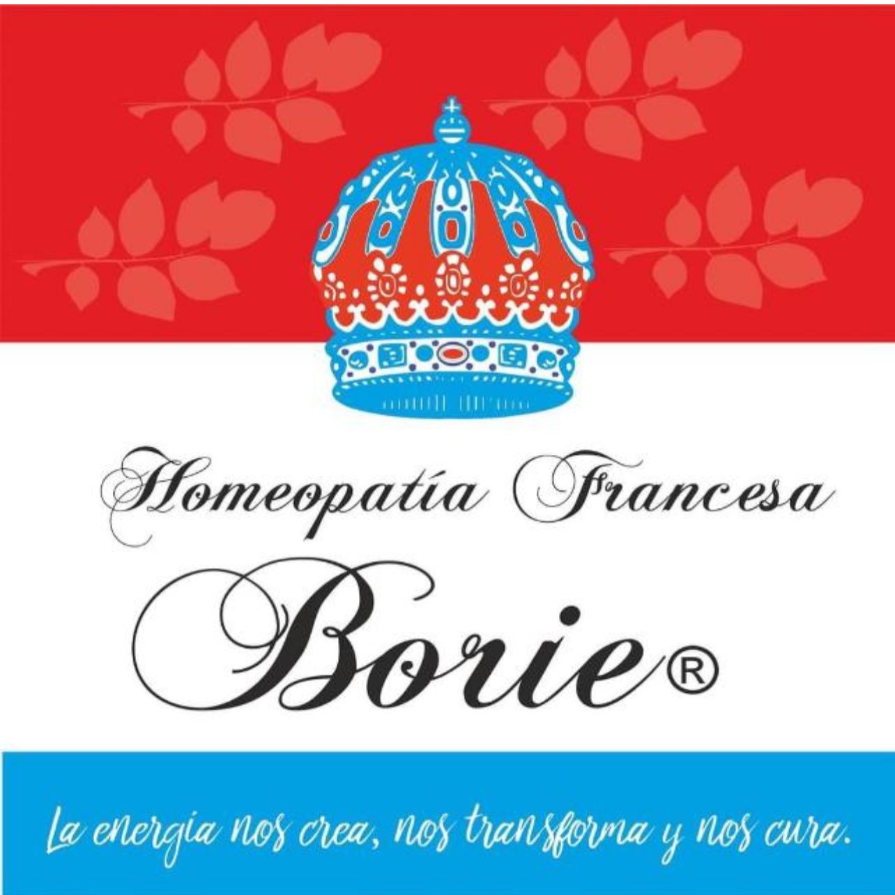 logo homeopatia francesa borie