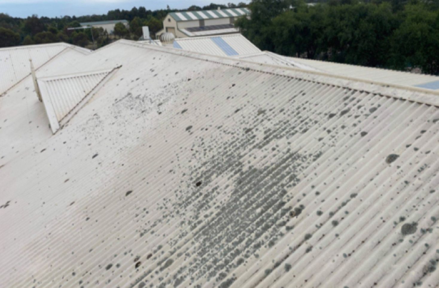 Yellowish roof before cleaning | Gisborne, VIC | H&M Roofing