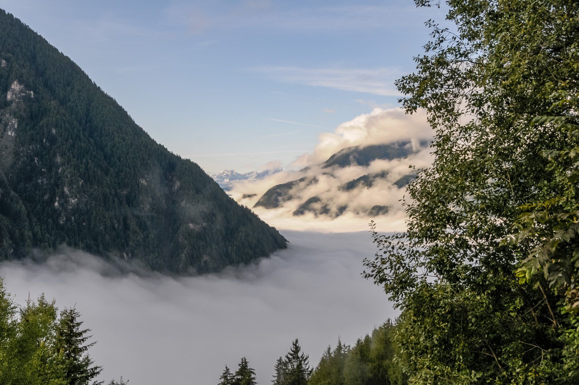 Morgennebel, Ahornach, Ahrntal, Südtirol, Wolkenmeer, Stimmung