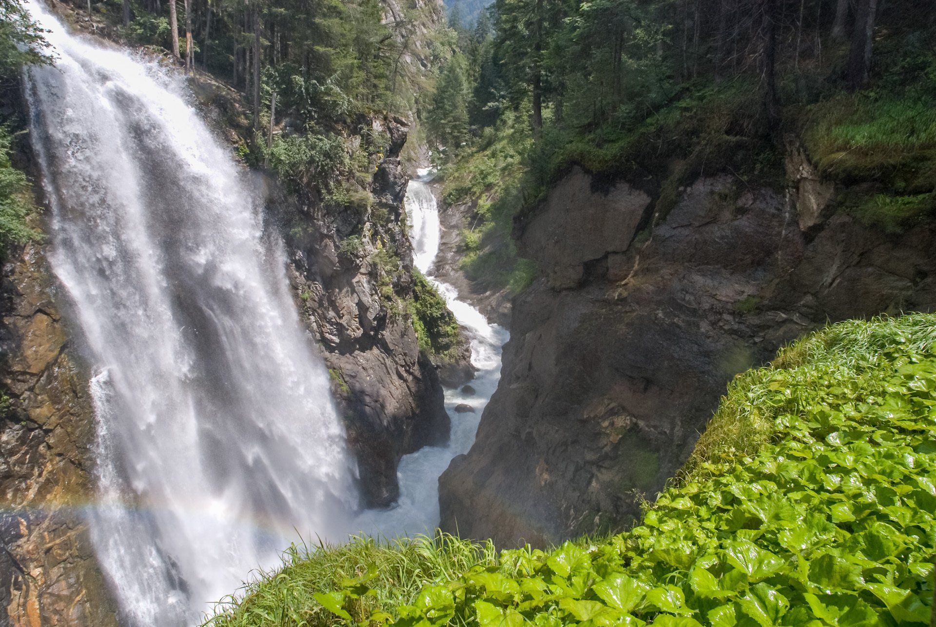 Ein Wasserfall inmitten eines üppigen grünen Waldes