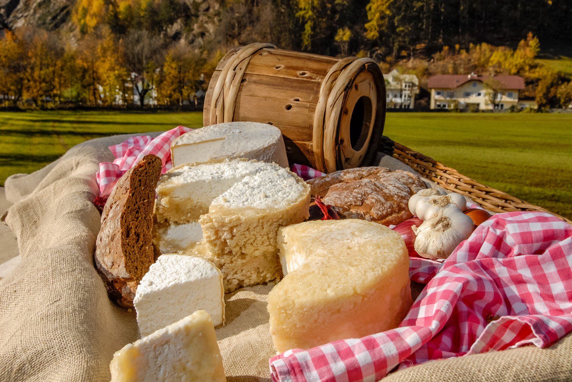 Ein Korb gefüllt mit verschiedenen Käse- und Brotsorten.