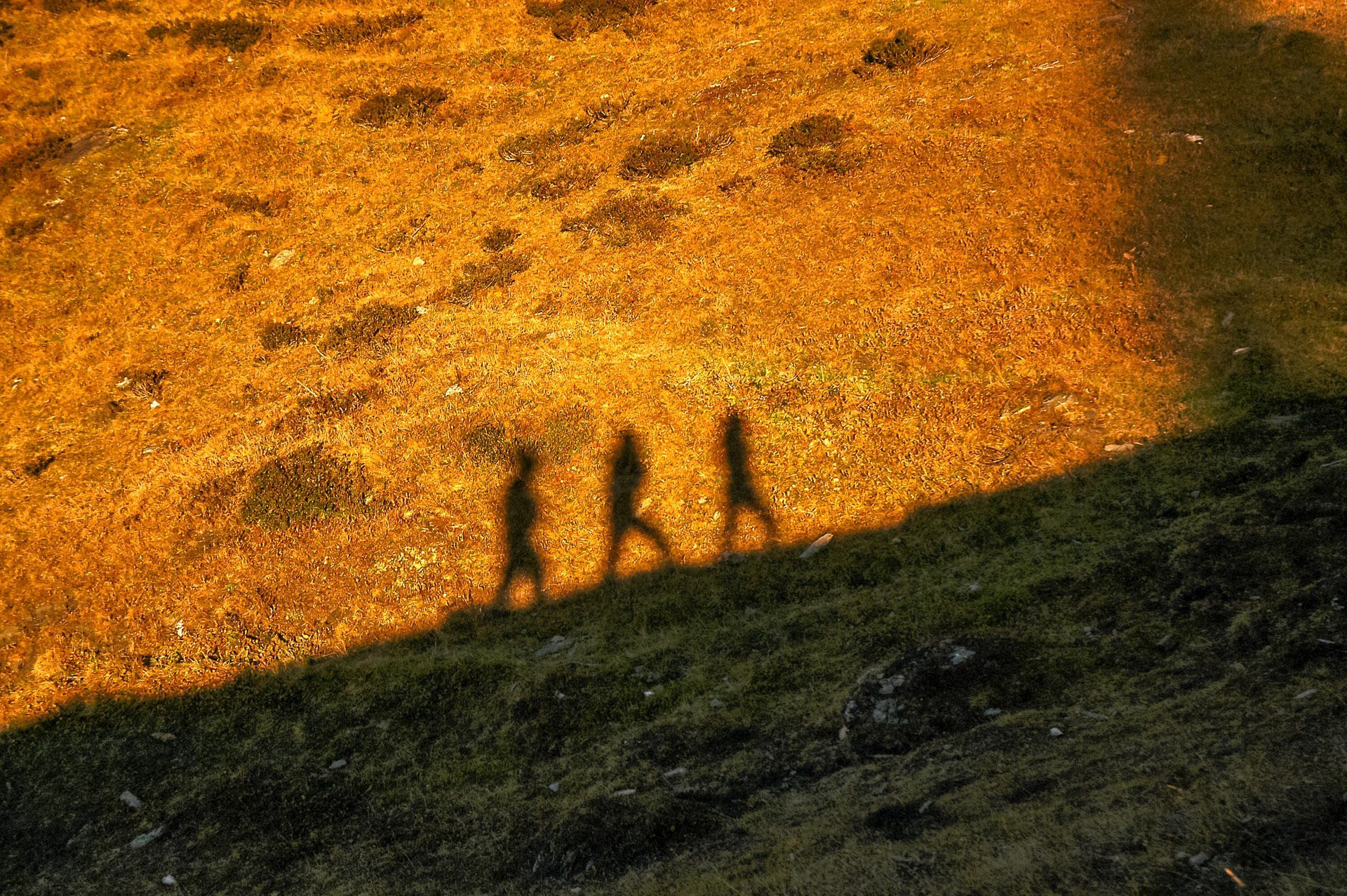 Schatten von Menschen, die auf einem grasbewachsenen Hügel gehen