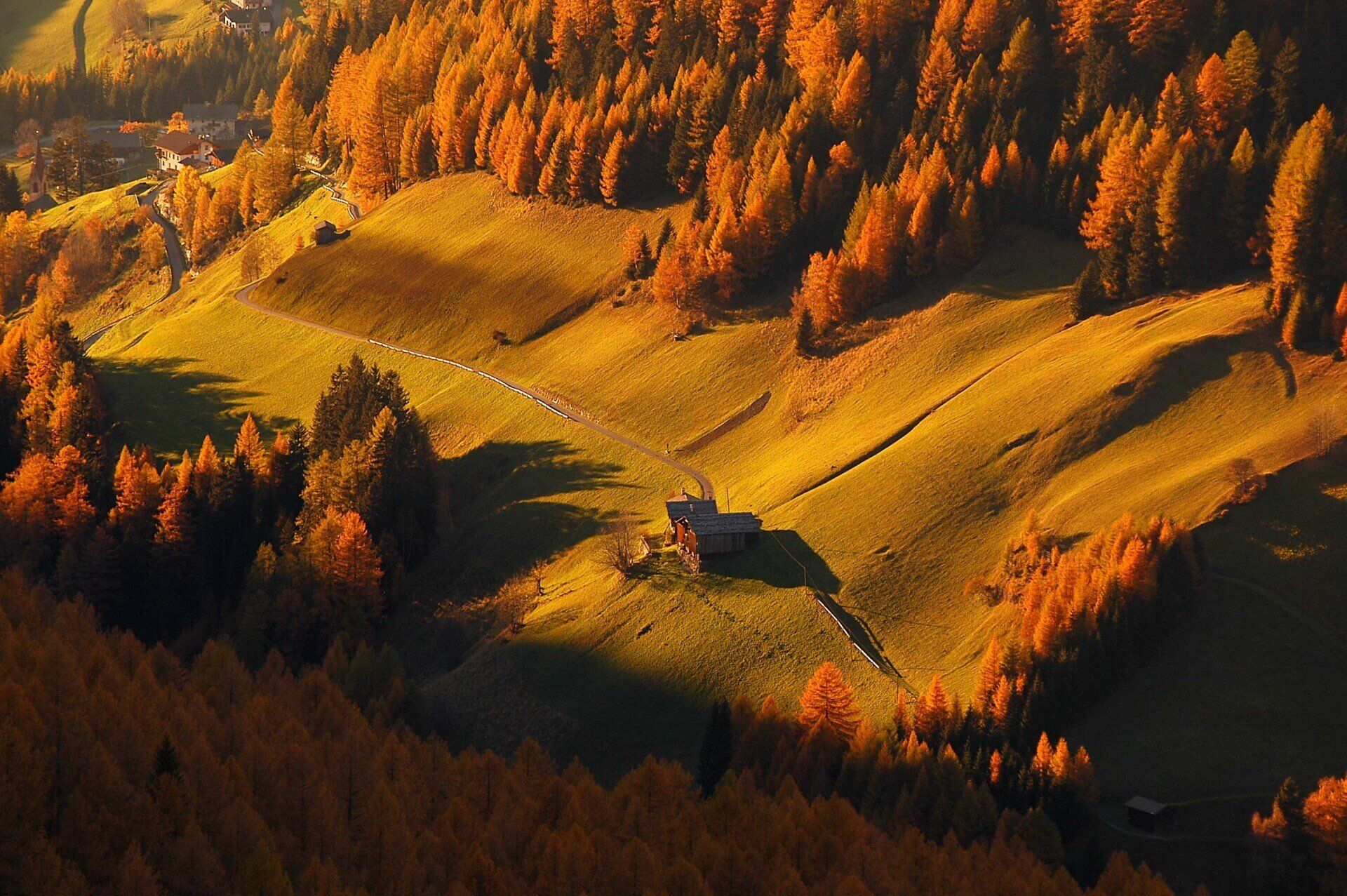 Eine Luftaufnahme eines Feldes umgeben von Bäumen im Herbst