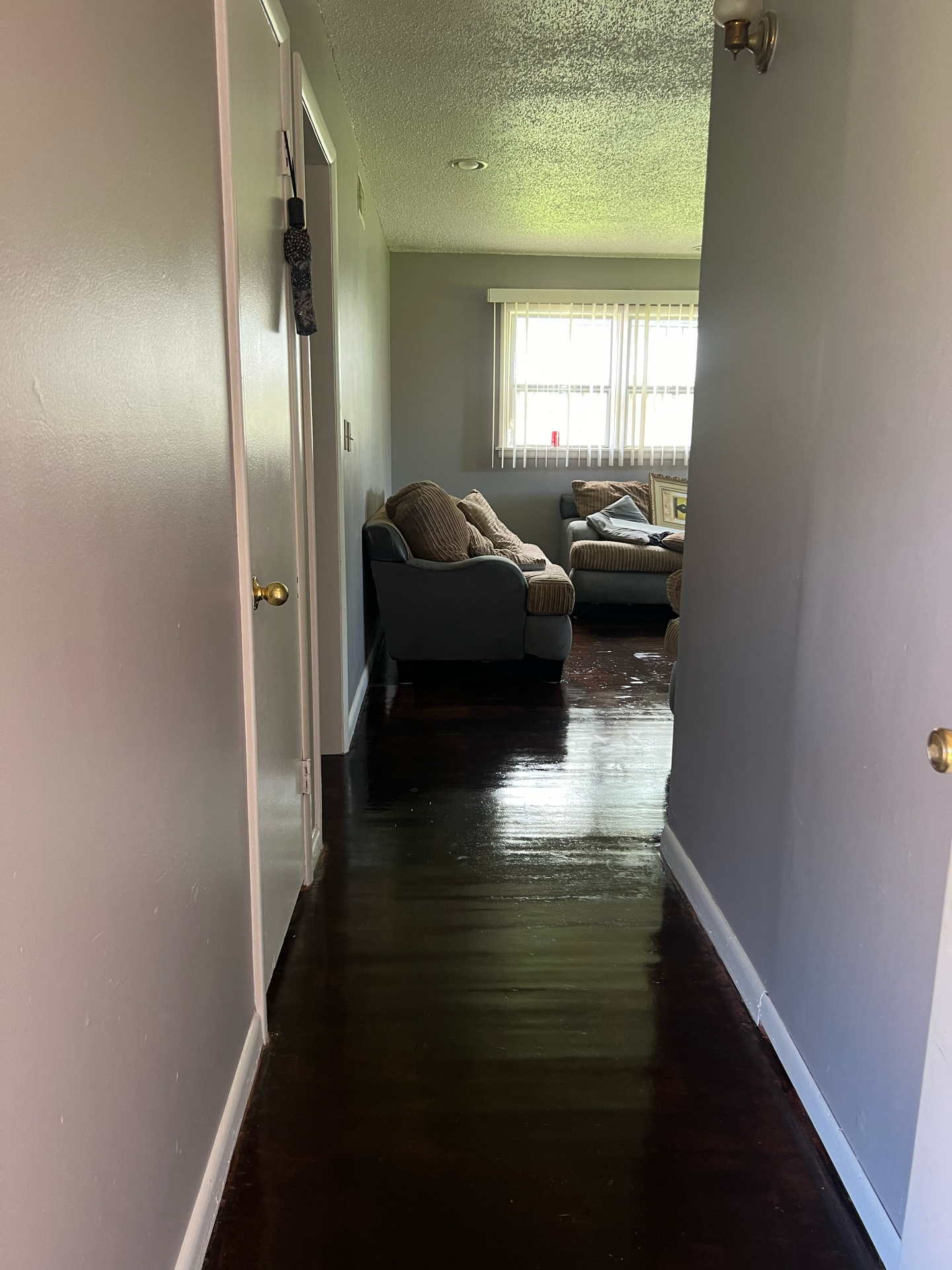 A hallway leading to a living room with a couch and chairs.