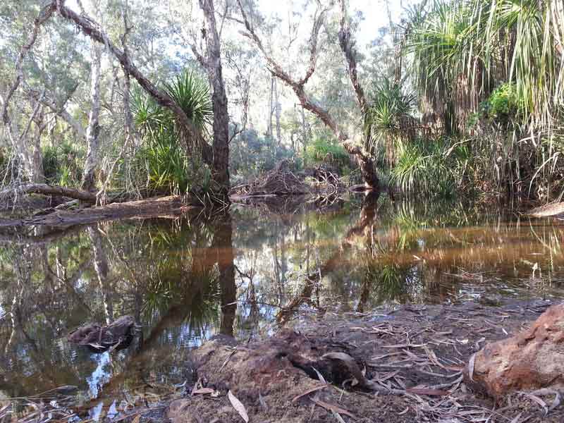 Lake — Dean Jackson Guided Tours in Winnellie, NT