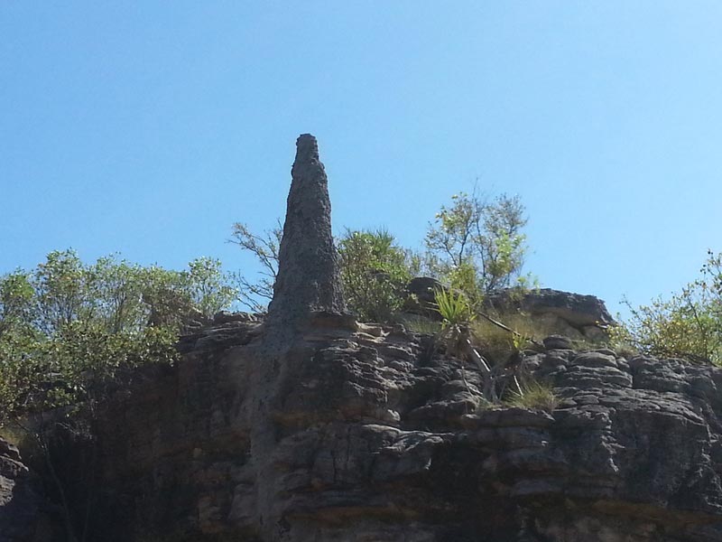 Landscape — Dean Jackson Guided Tours in Winnellie, NT