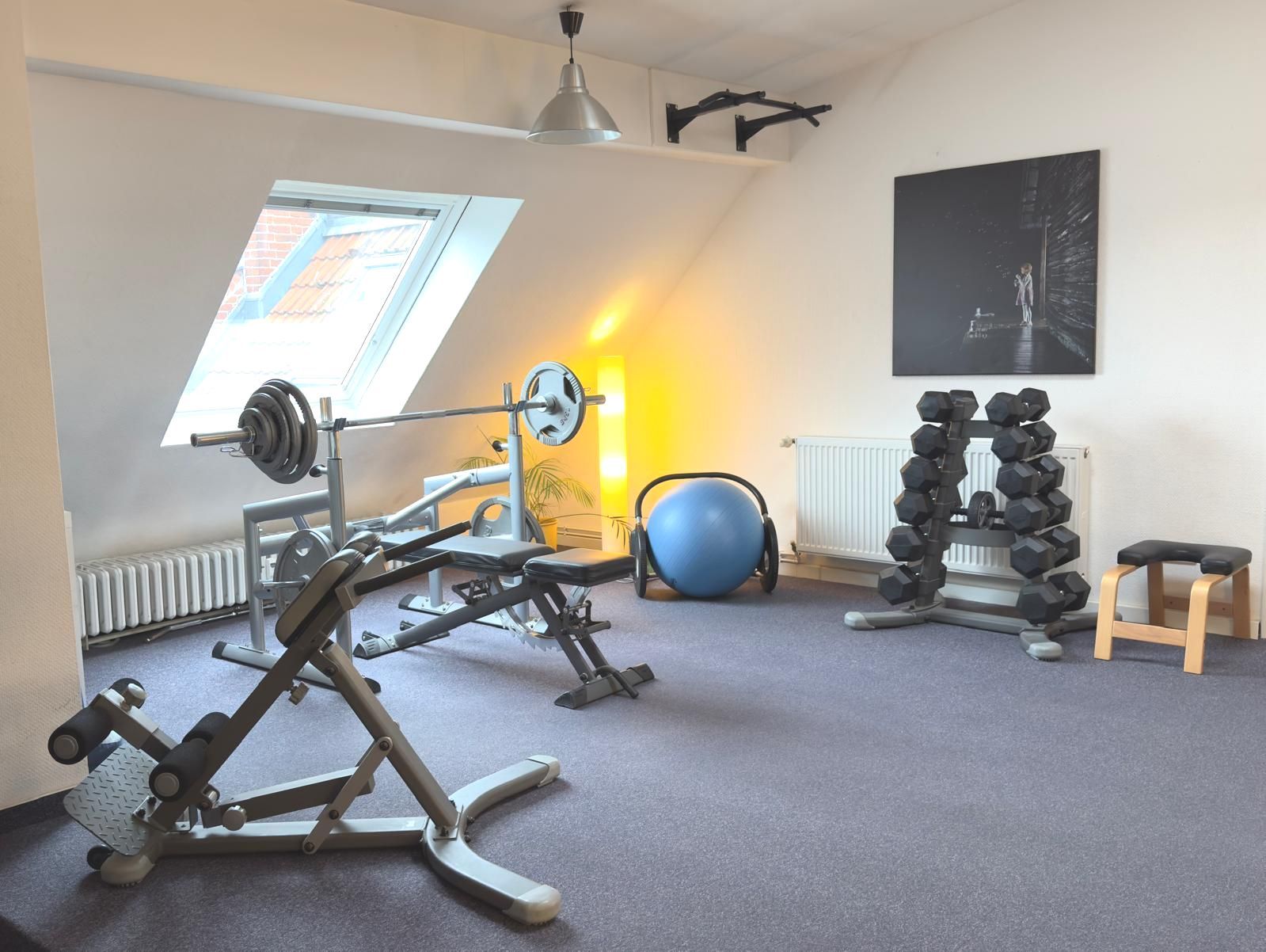 Ein Fitnessraum mit einer Langhantel- und einer Kurzhantelablage in der Privatpraxis von Roland Hauf