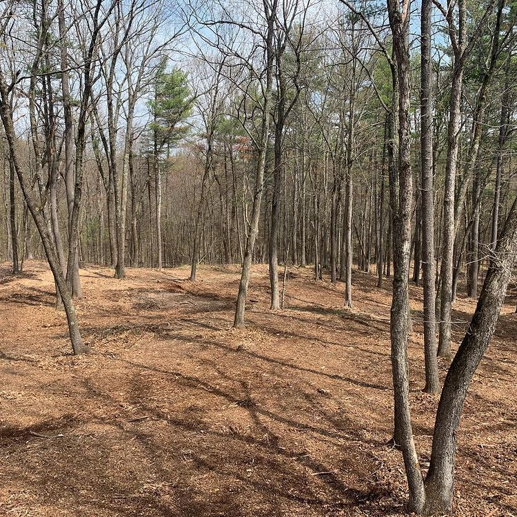 Forestry Mulching — Rutland, MA — Heipt & Sons Forestry Mulching
