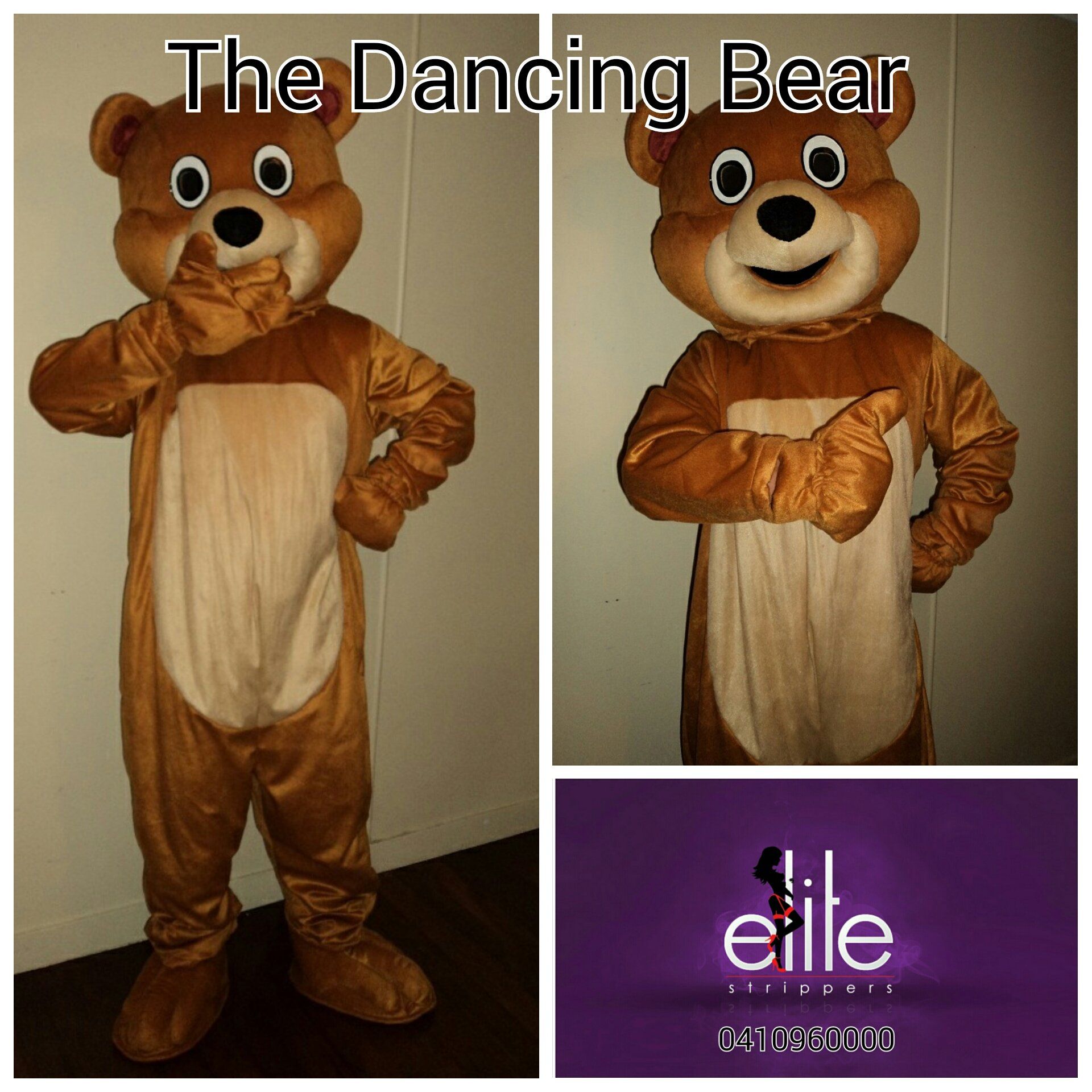 Brisbane's Dancing Bear Elite Strippers
