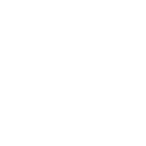 Elevati standard qualitativi – Icona