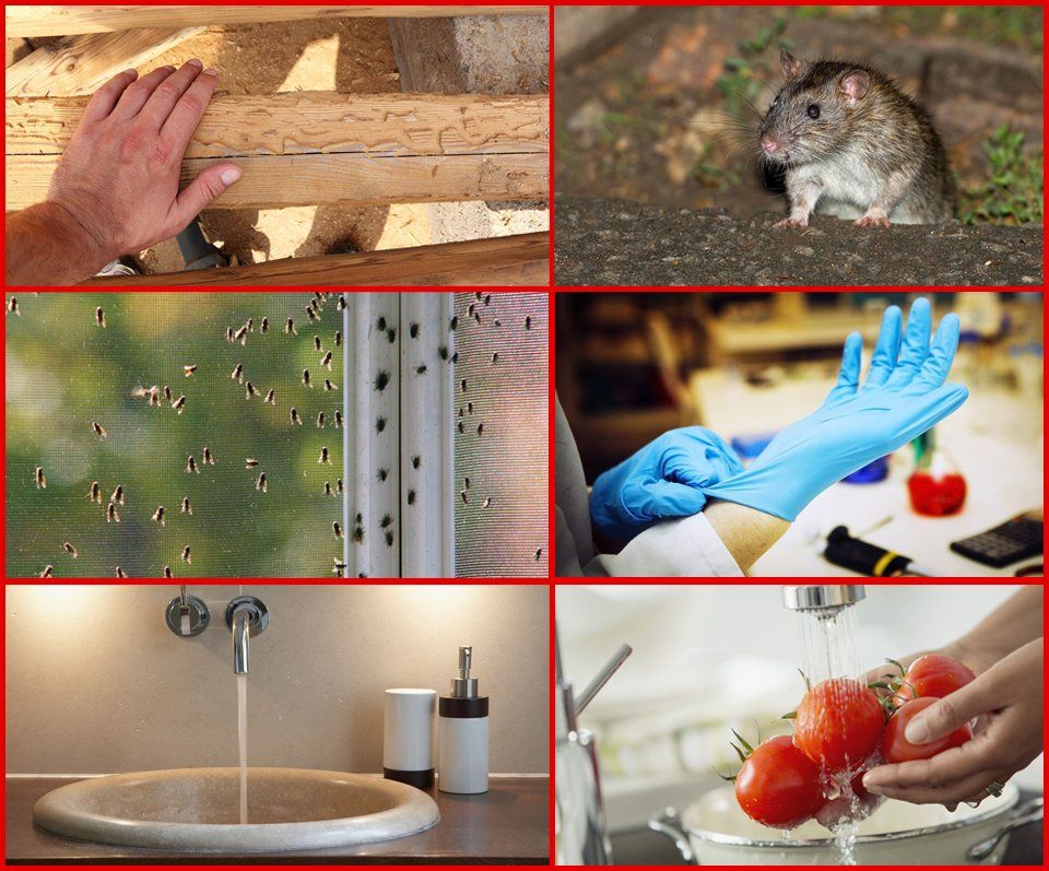 Pest Control and Food Hygiene
