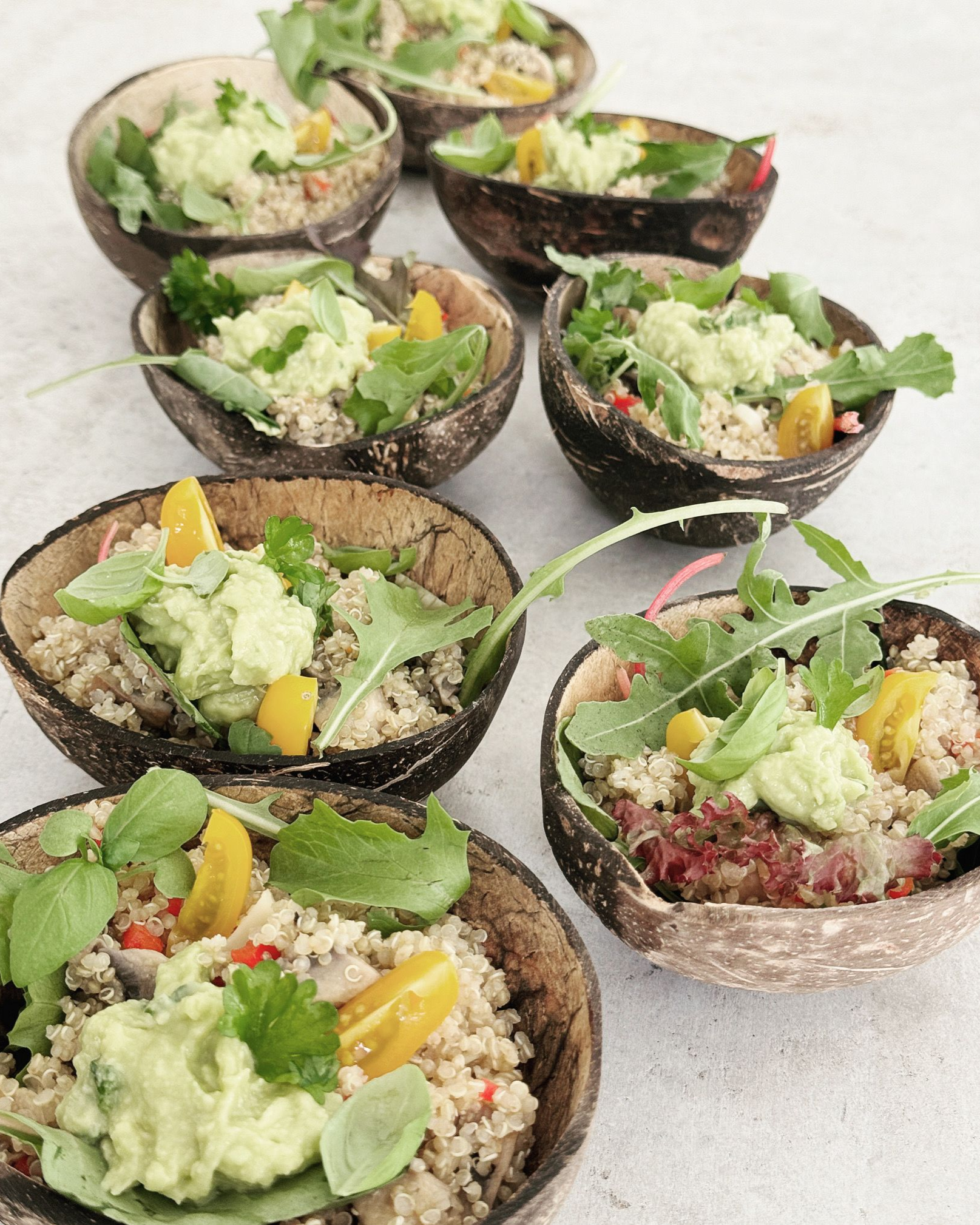Kleine salades in kokosschalen, gegarneerd met avocado en rucola.