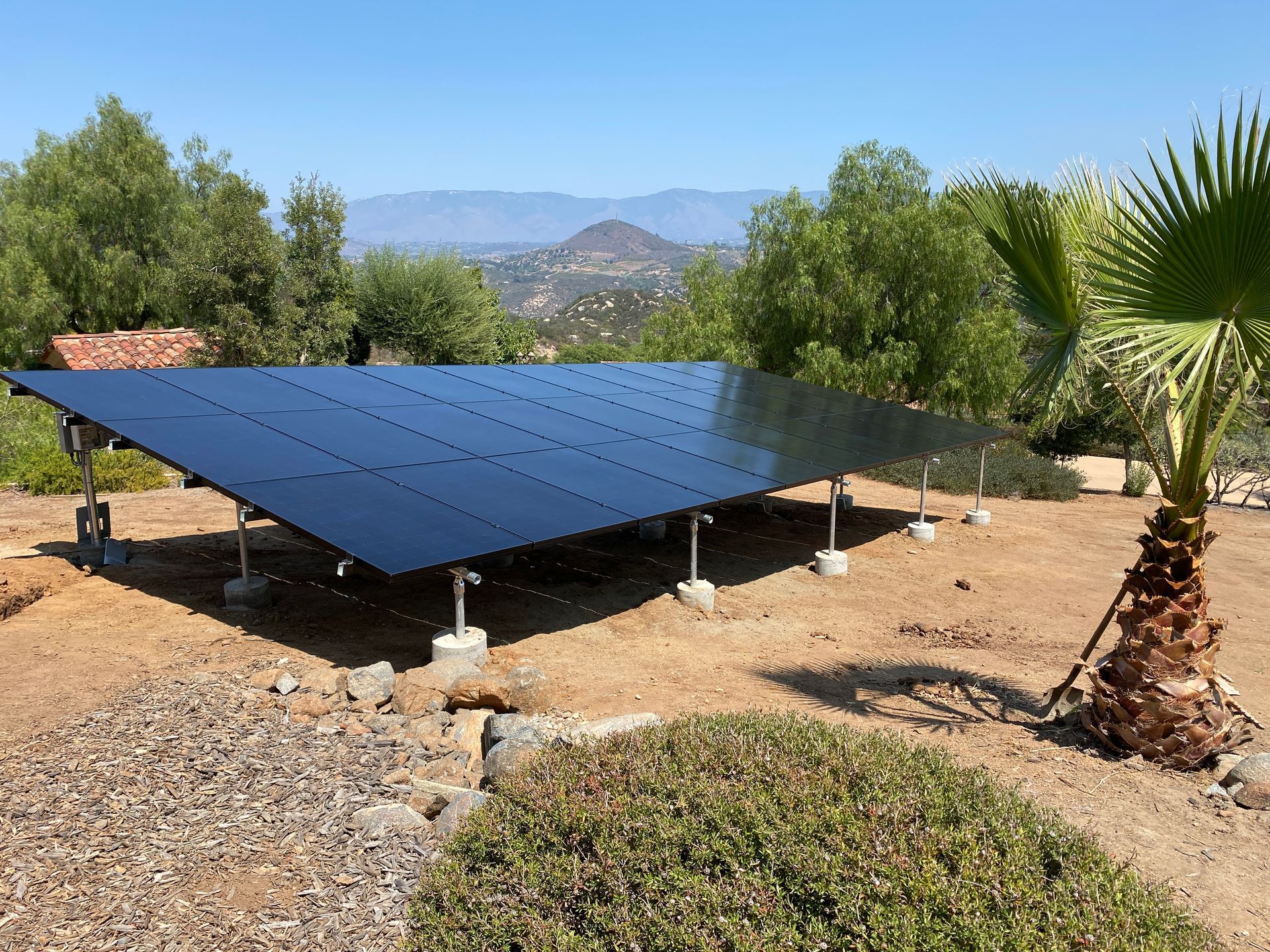 A large solar panel is sitting in the middle of a field next to a palm tree.