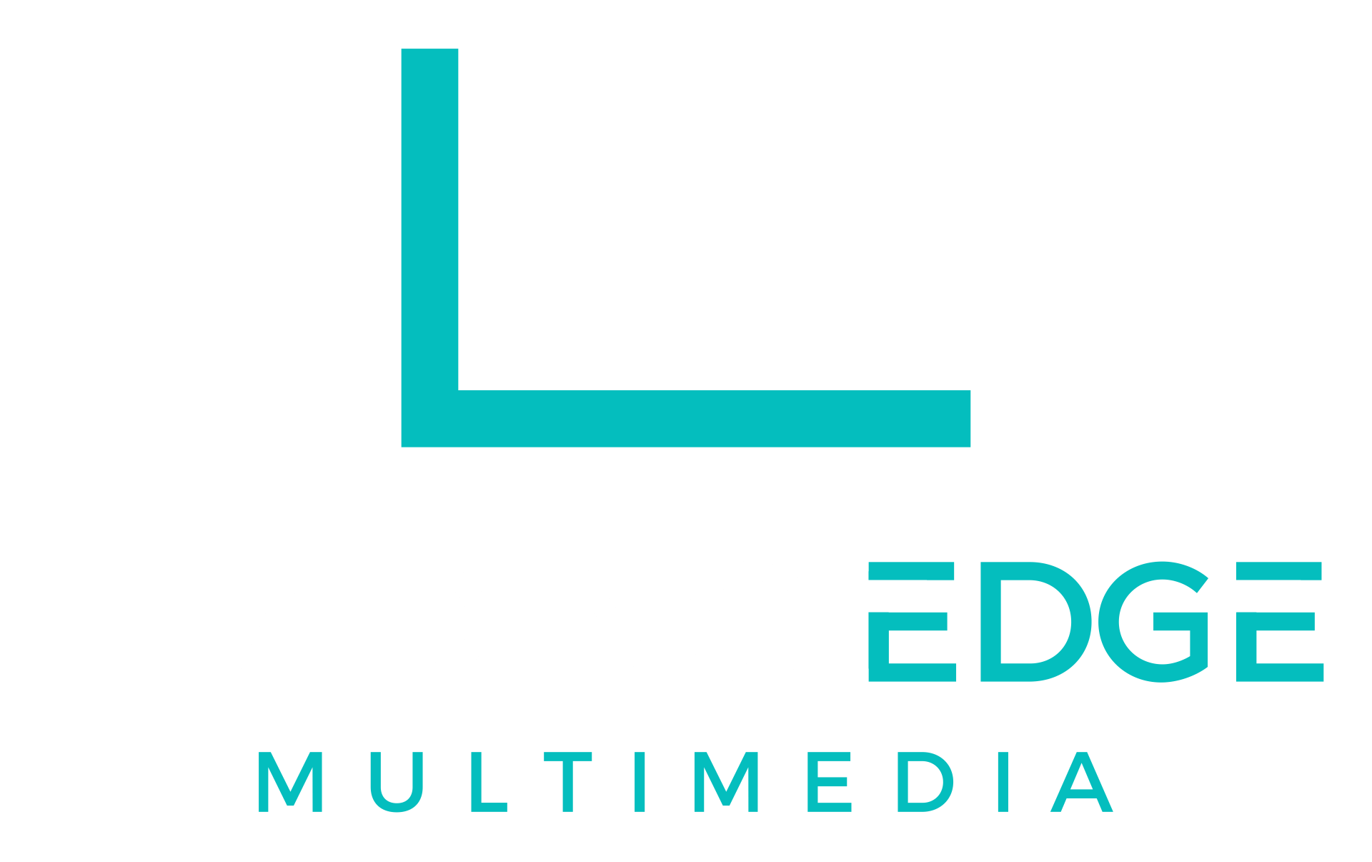 Leading Edge Multimedia logo