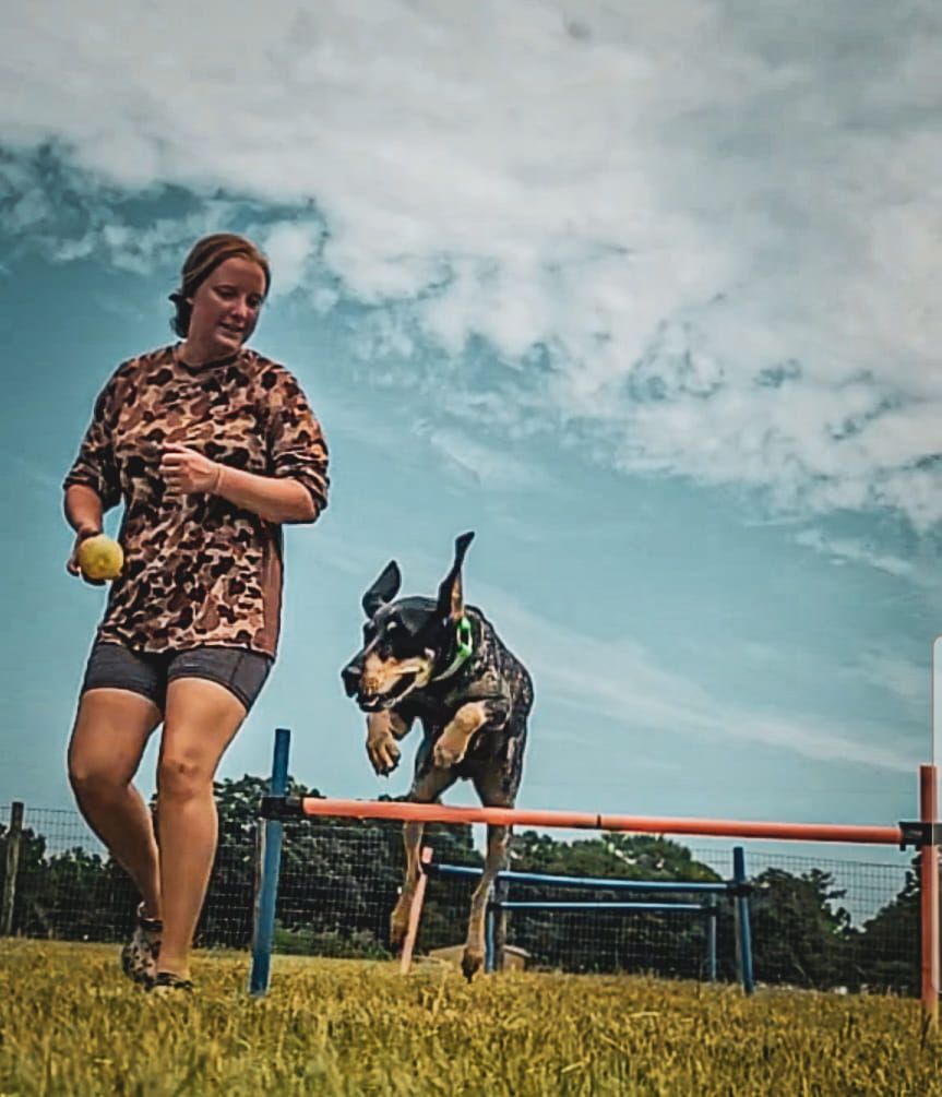 Woman Training A Dog
