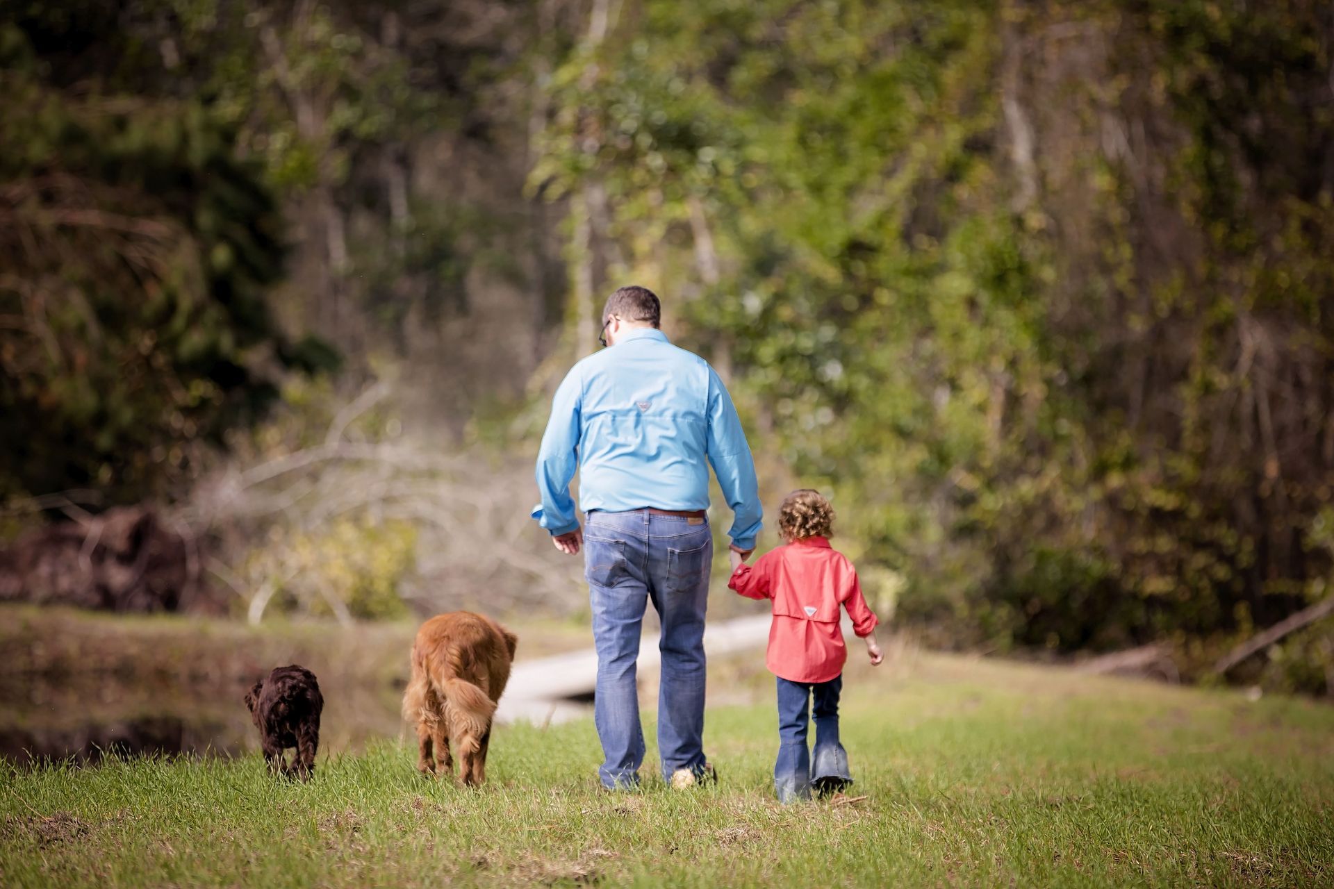 Man And Kid Walking With Dogs