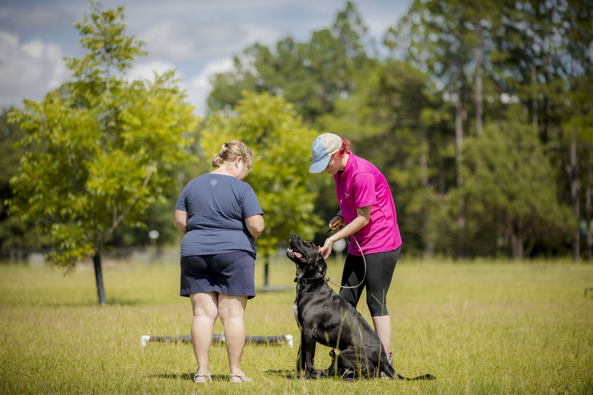 Two Women Training A Black Dog