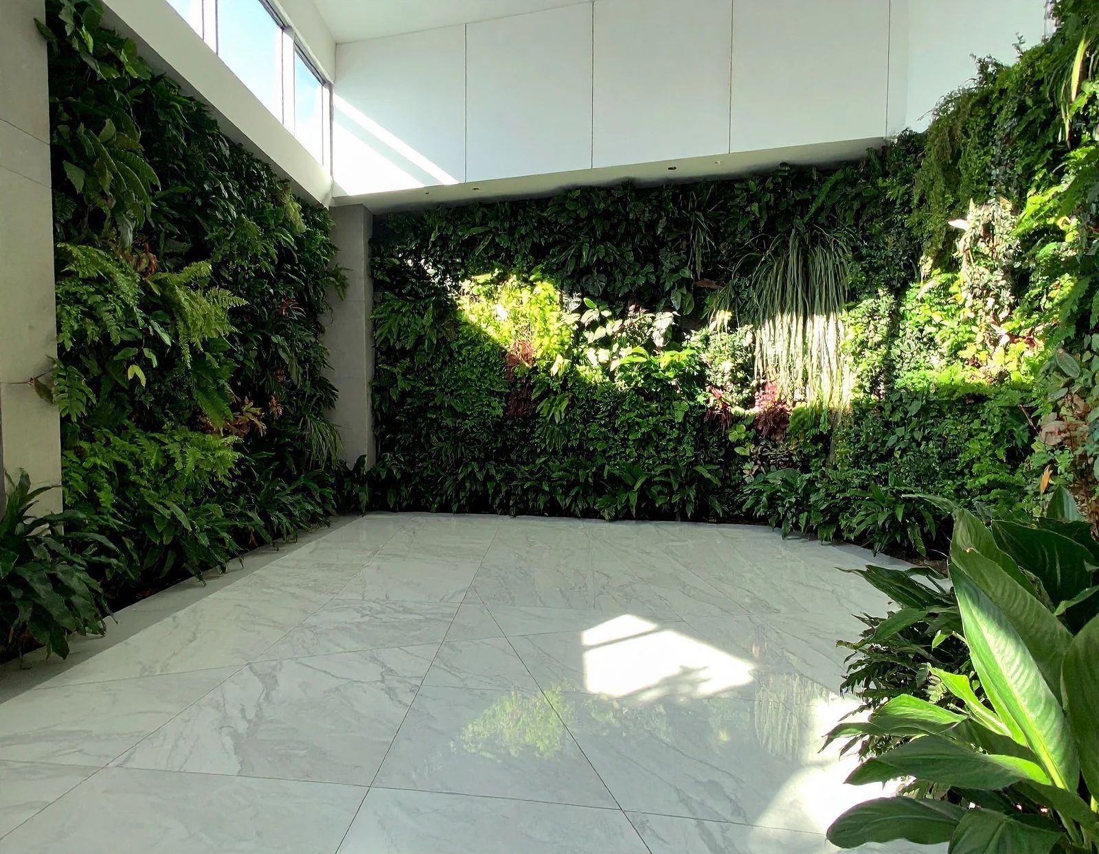Indoor space with white tiled floor and walls covered in lush green plants.