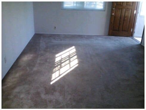 An empty room with a carpeted floor and a window