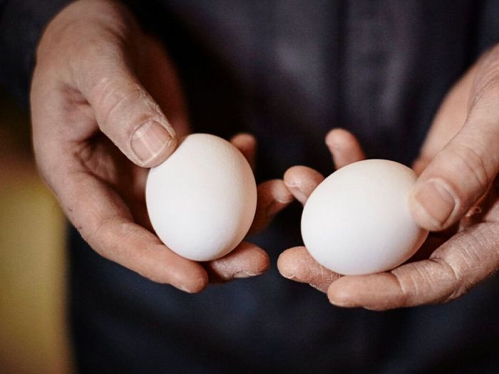 Person som holder to hvite egg i hendene.