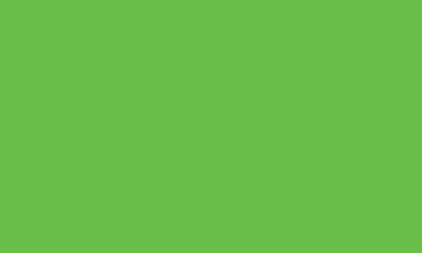 Bright green background.