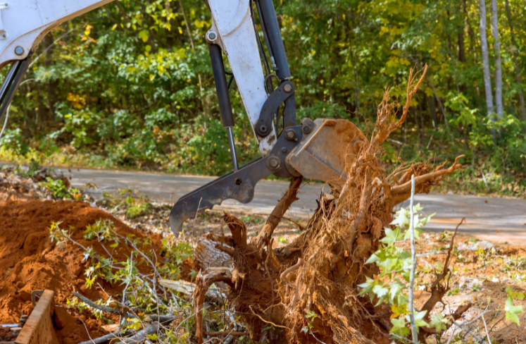 A large tree stump is being removed by an excavator.