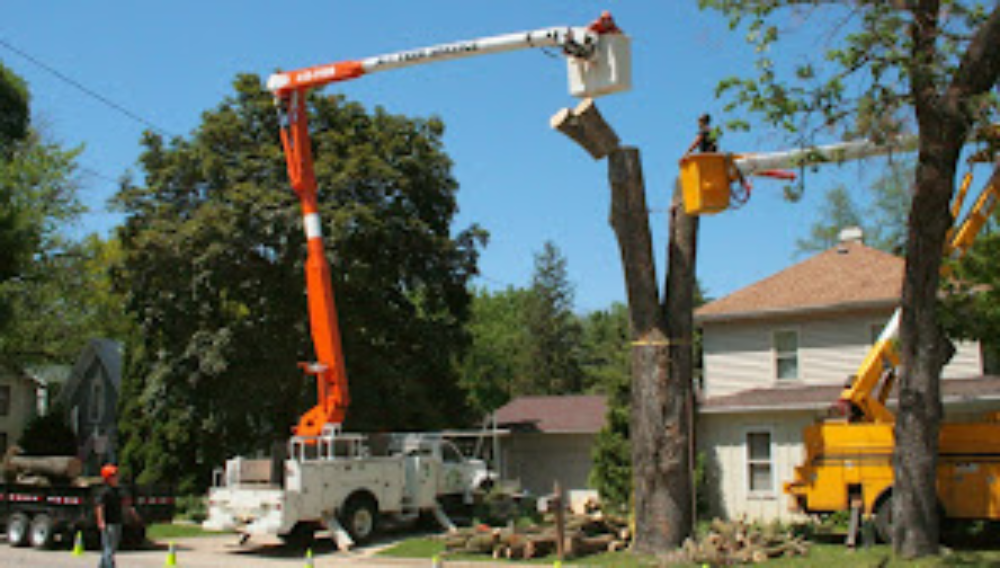 Two men in crane buckets are chopping down a large tree in front of a house