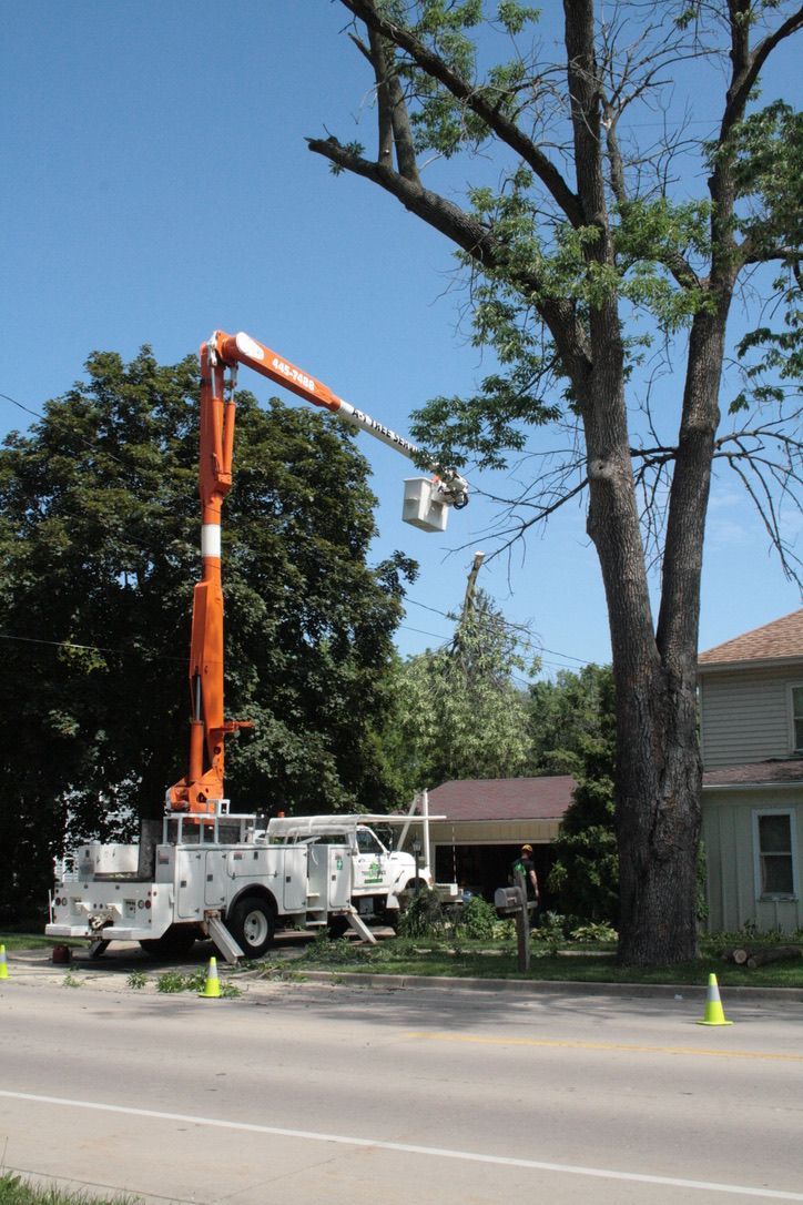 A tree cutting truck with an orange crane is parked on the side of the road