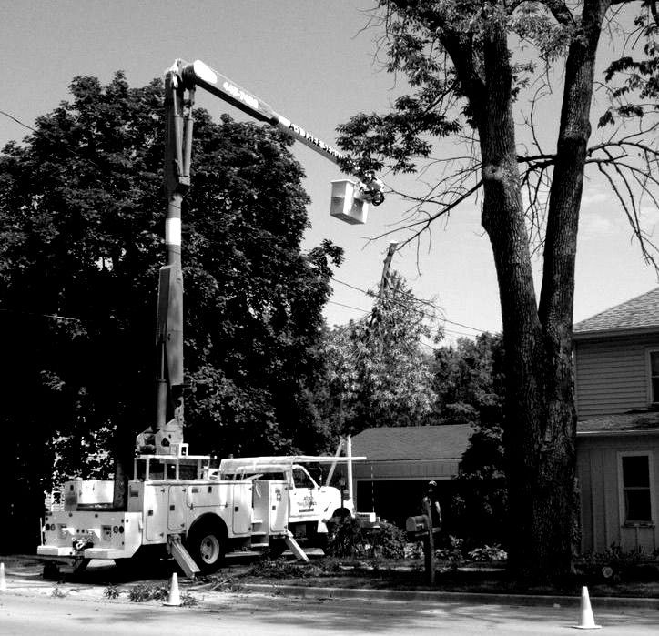 A black and white photo of a pile of hay in the woods.