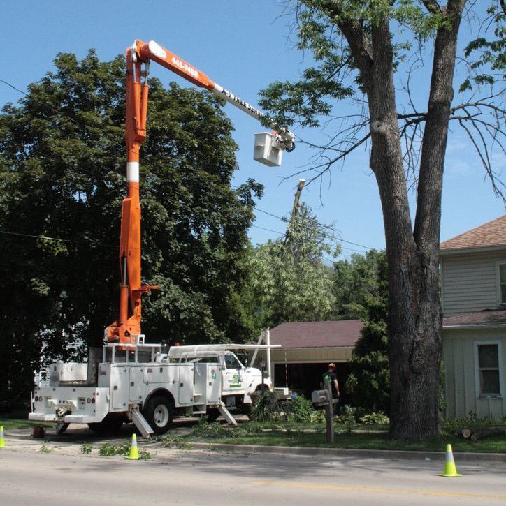A man is driving a tree chipper through a forest.