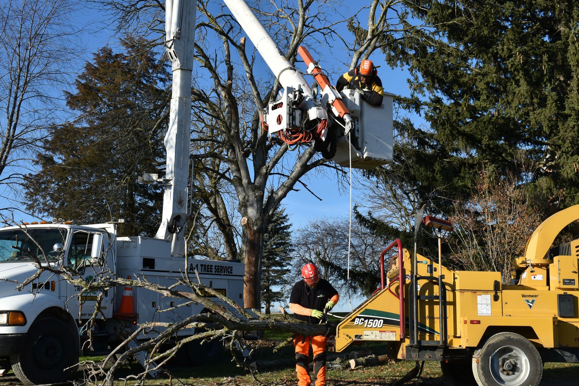 A man in a bucket is cutting down tree limbs  with a chainsaw.