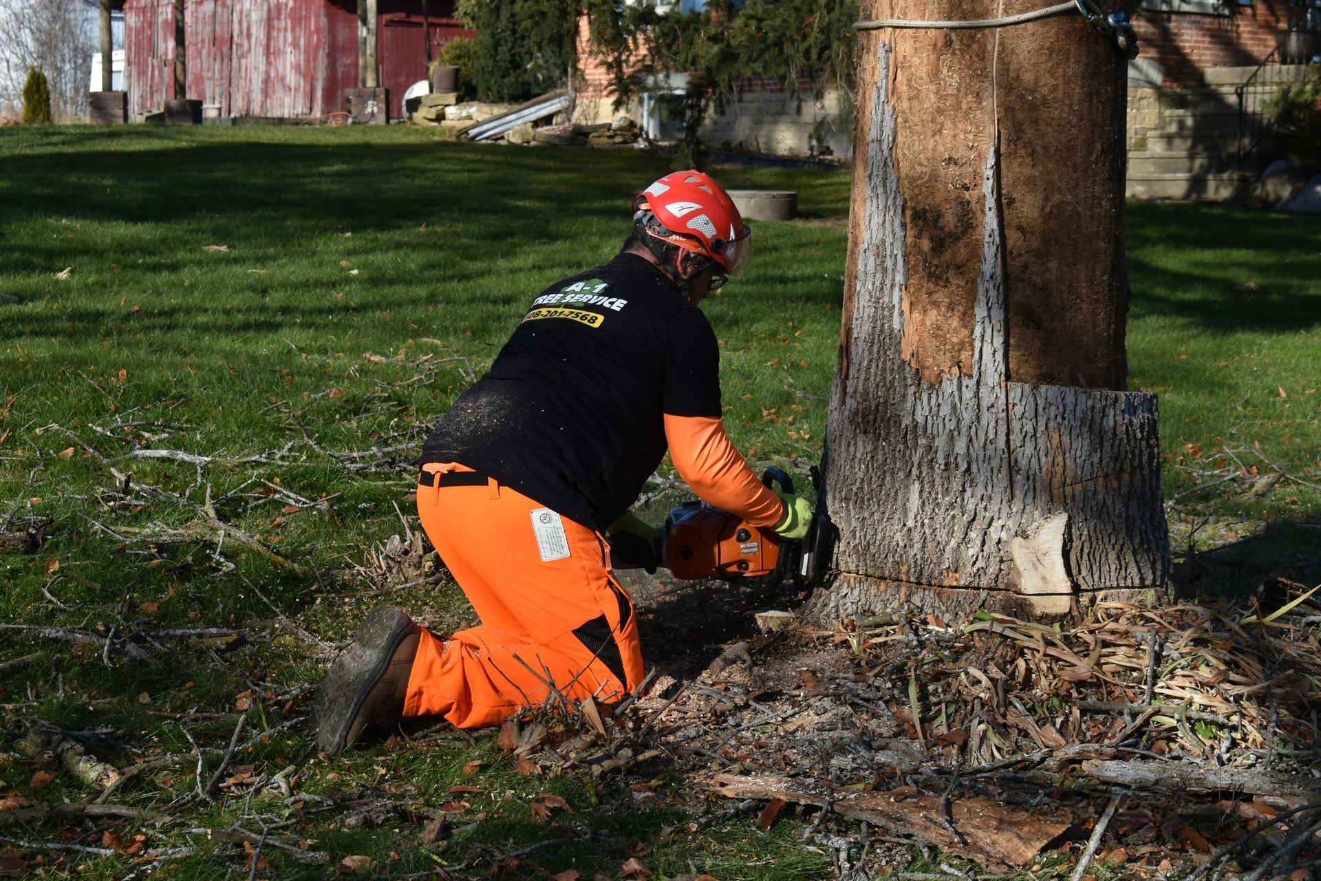 A man is kneeling down while cutting the base of a tree with a chainsaw.