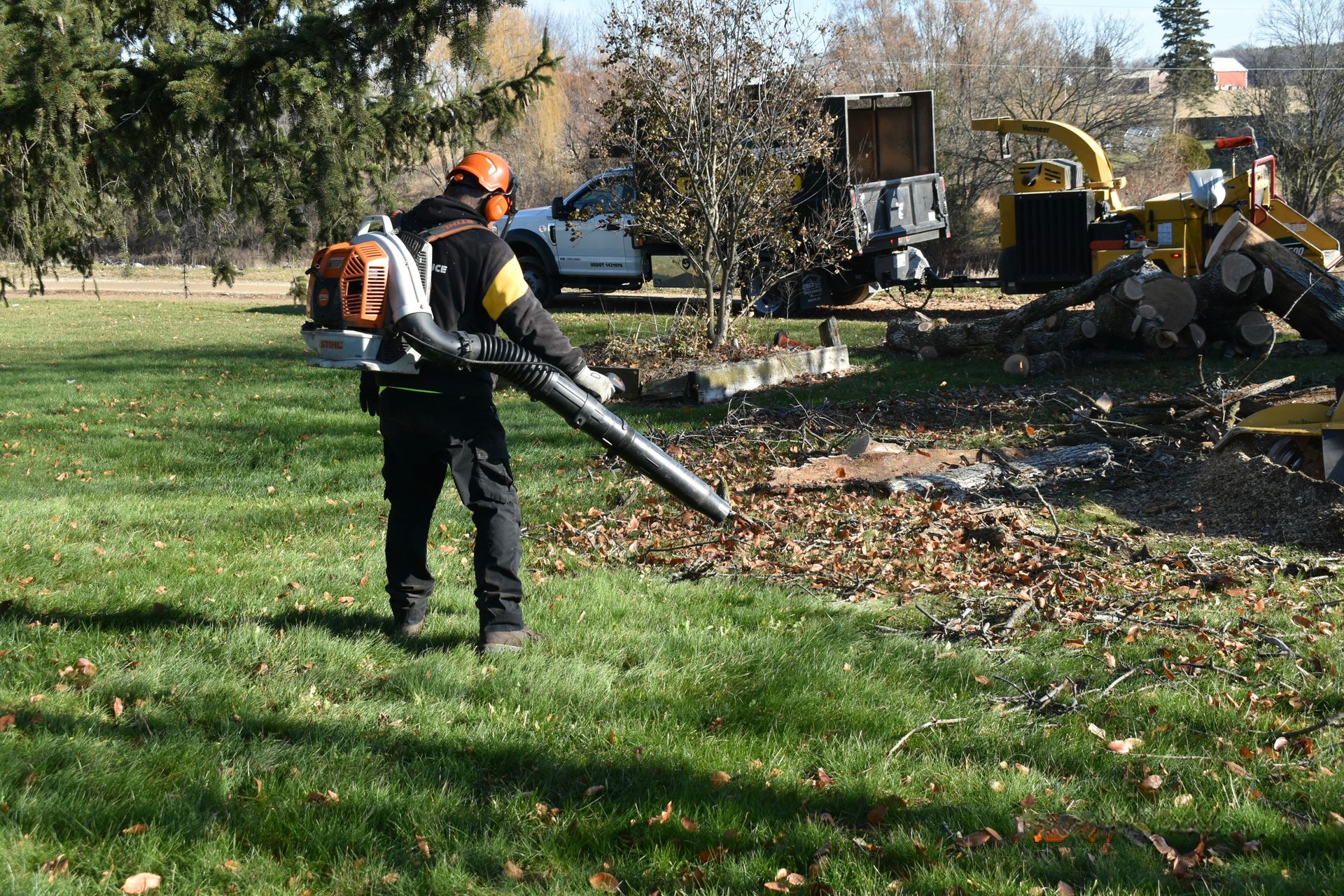 A man is blowing leaves in a park with a backpack blower. A1 Tree Service No Mess guarantee