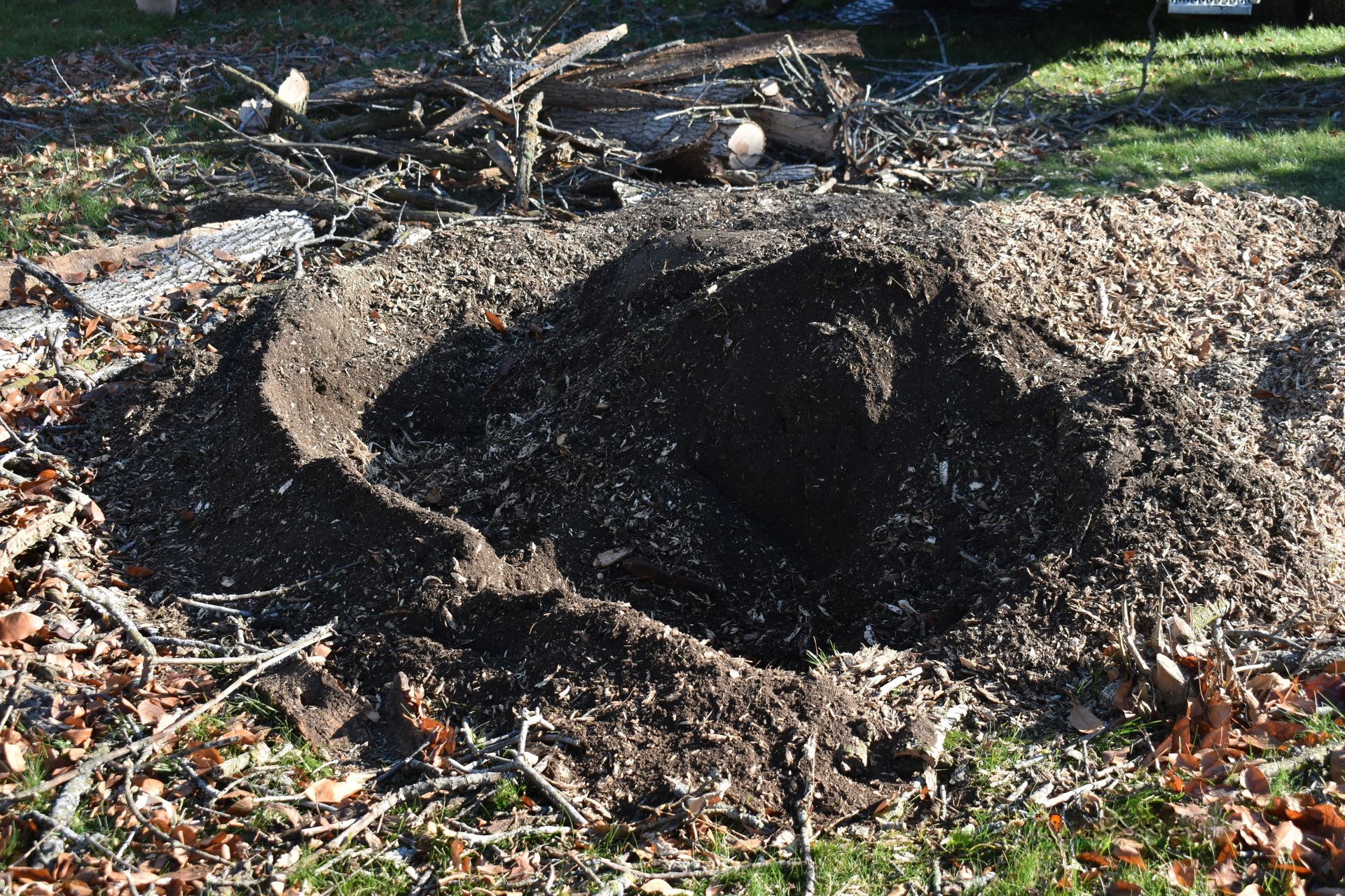 Stump Grinding below the surface
