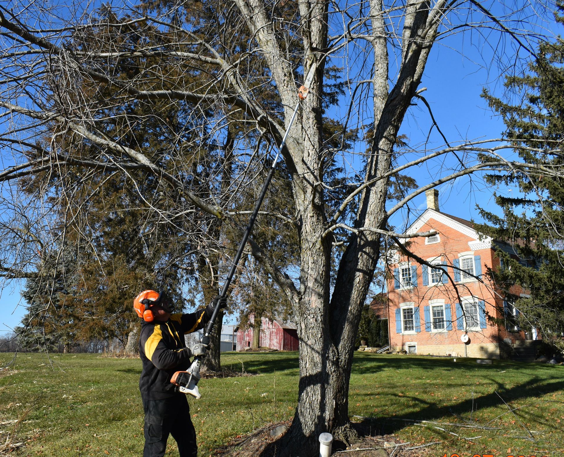 A man is pruning a tree with a chainsaw in front of a house.