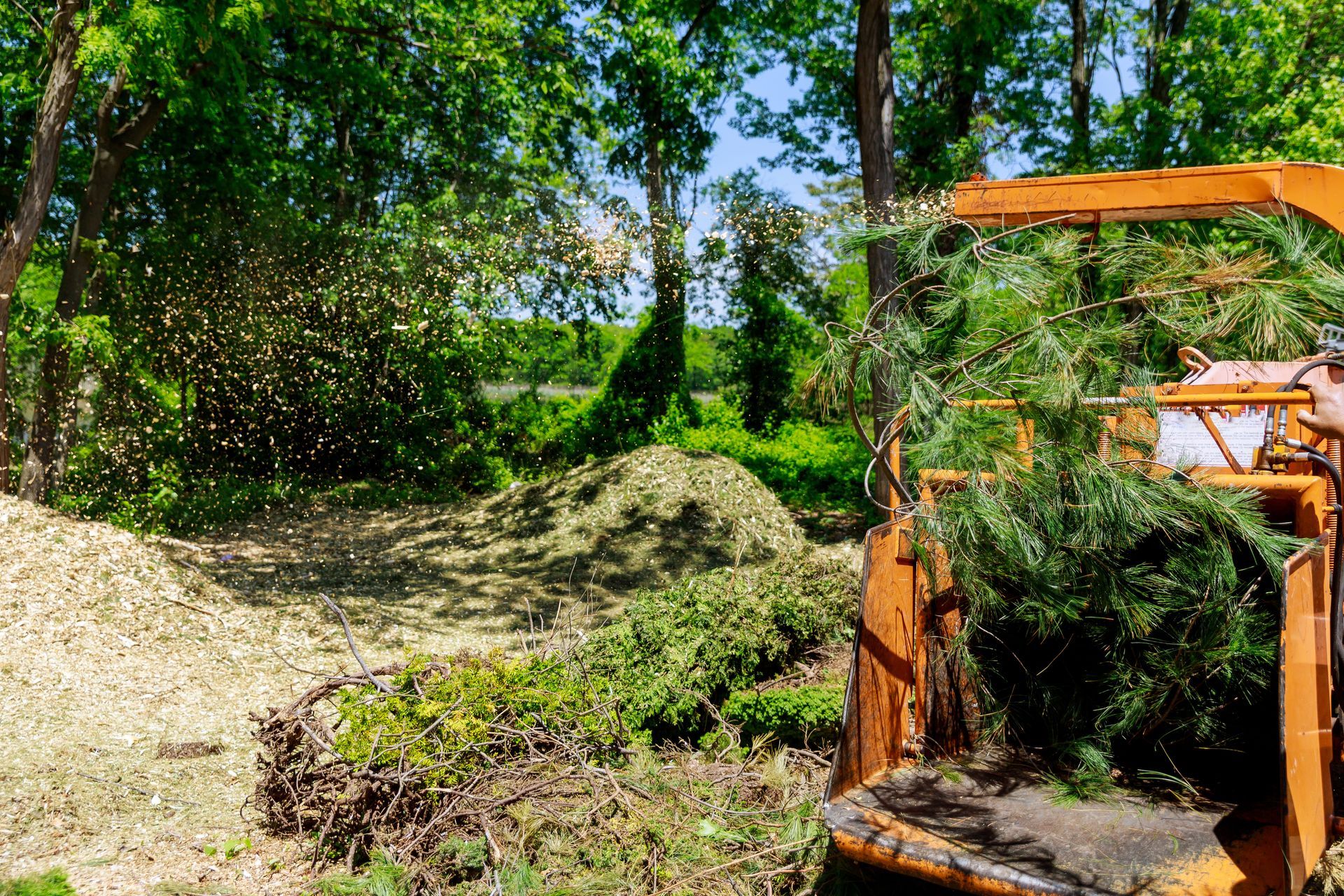 A man is driving a tree chipper through a forest.