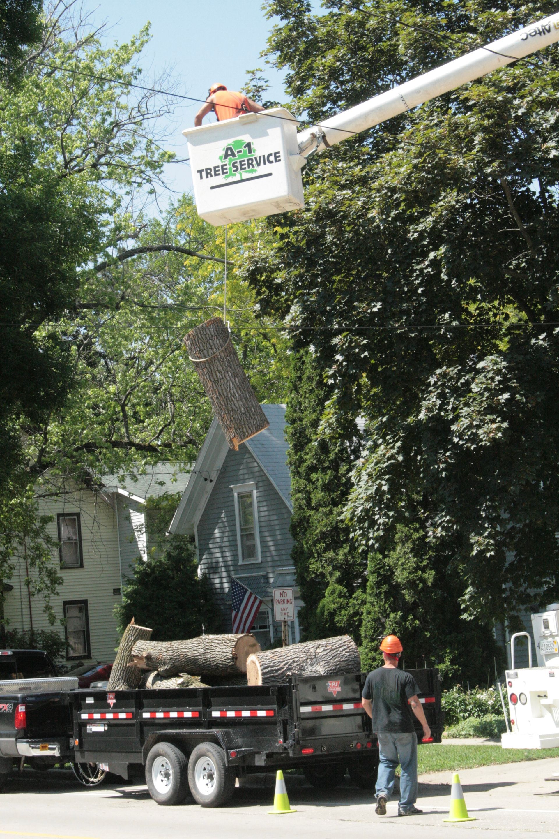 A man in a bucket is cutting a tree. Major tree removal