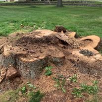 A large tree stump is sitting in the middle of a lush green field.