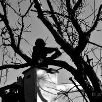 A man is sitting on a tree branch in a black and white photo.