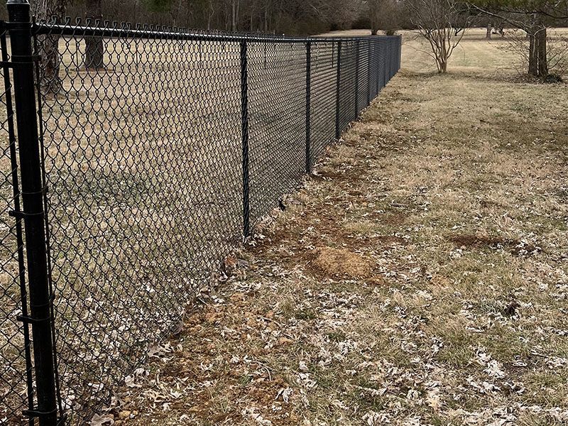 A black chain link fence surrounds a grassy field.
