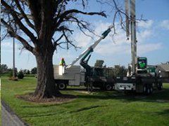 Tree Cutting — Berlin Heights, OH — Leimeister Crane & Tree Service