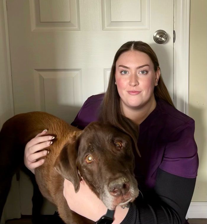 Virgil Animal Hospital Niagara Falls region Veterinary Clinic About