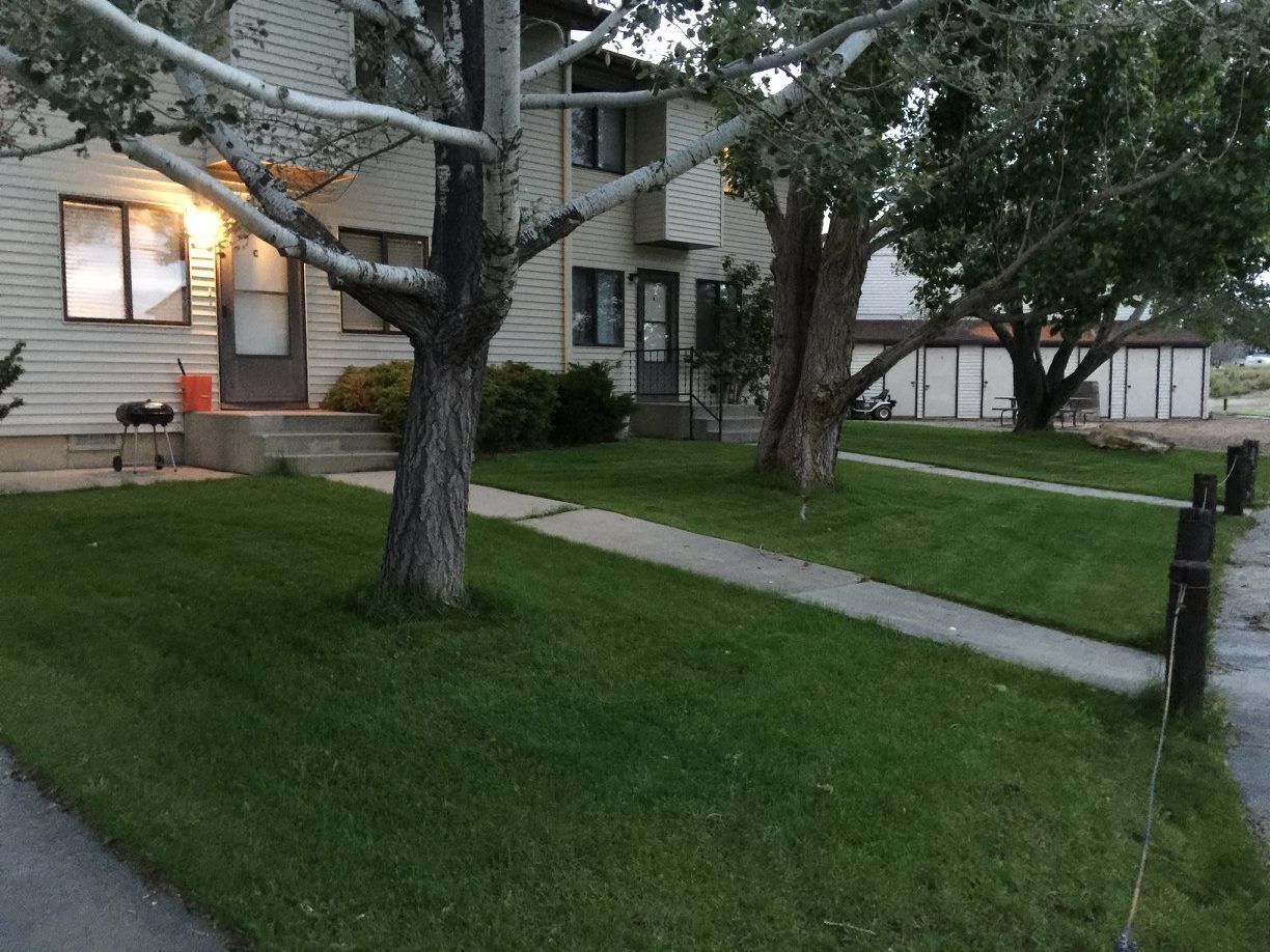 A house with a lot of grass and trees in front of it