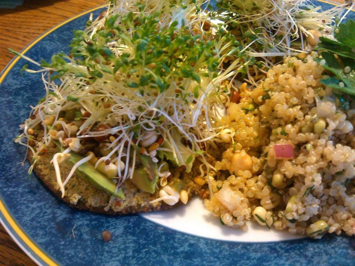 Sprout - ON, Canada - Healing Spirit Nutrition