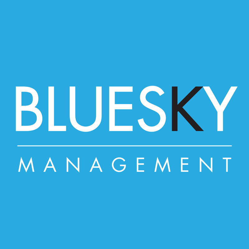 Bluesky Management Logo