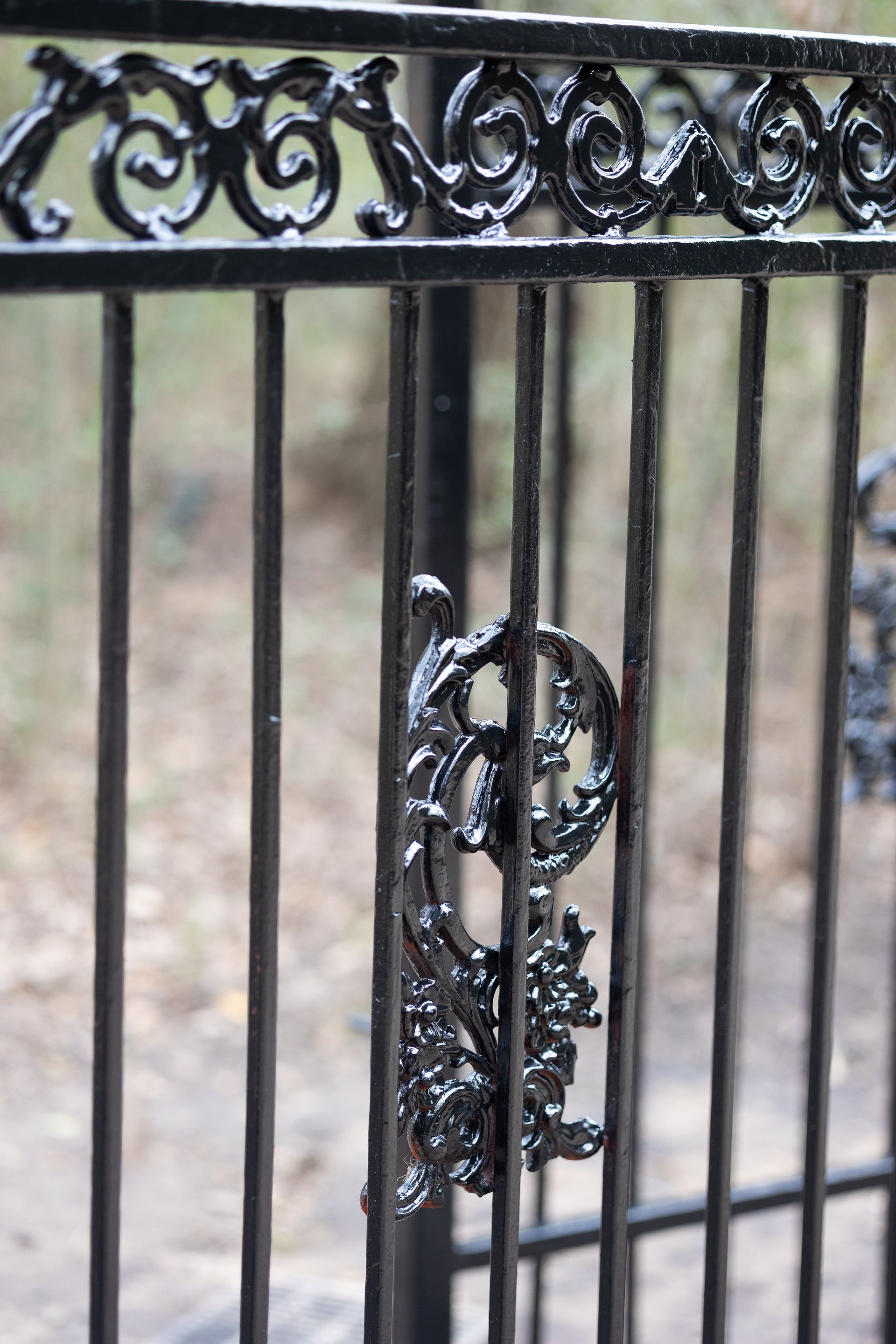 A close up of a wrought iron gate with a floral design on it.
