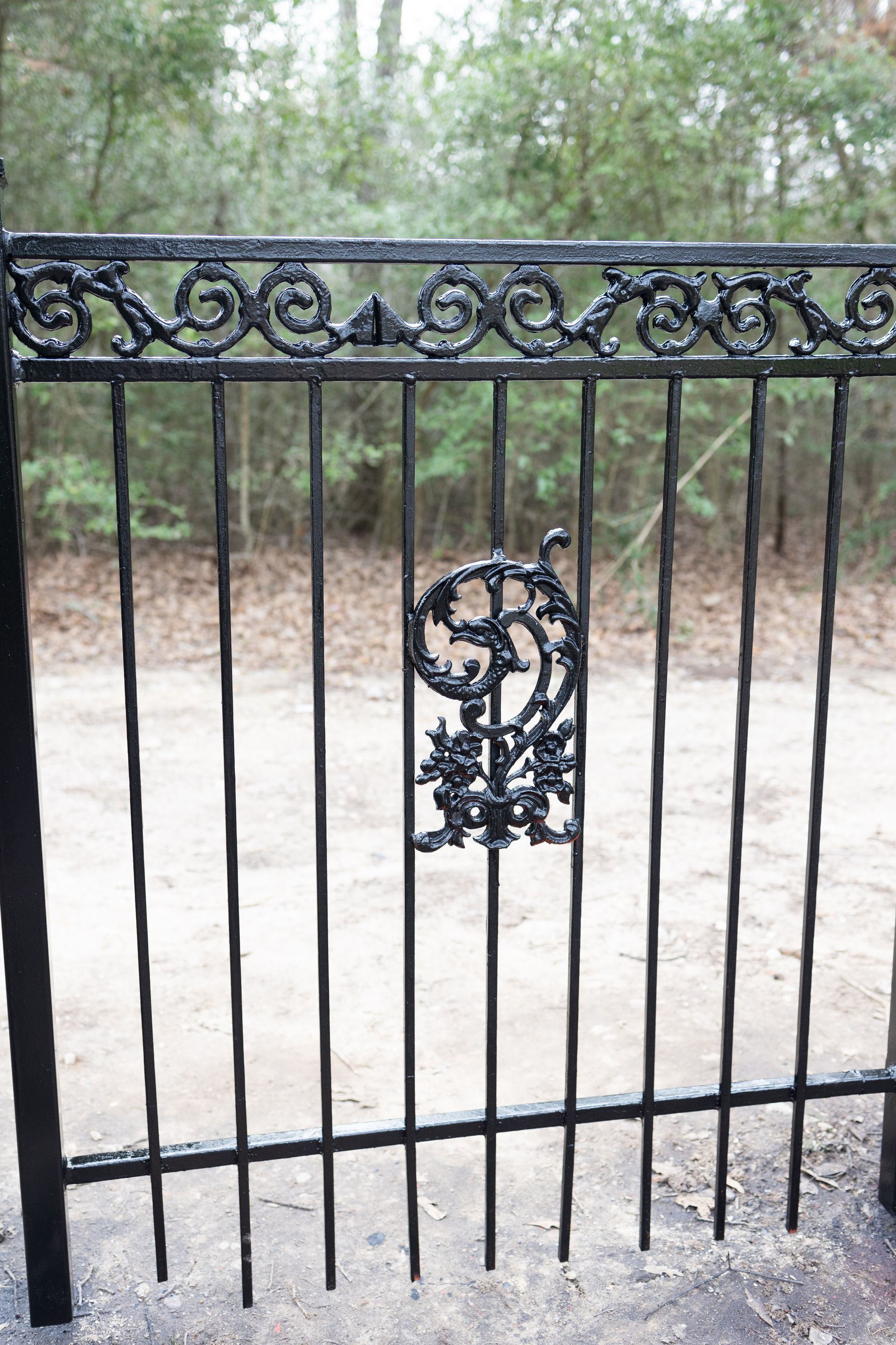 A close up of a wrought iron fence with trees in the background.