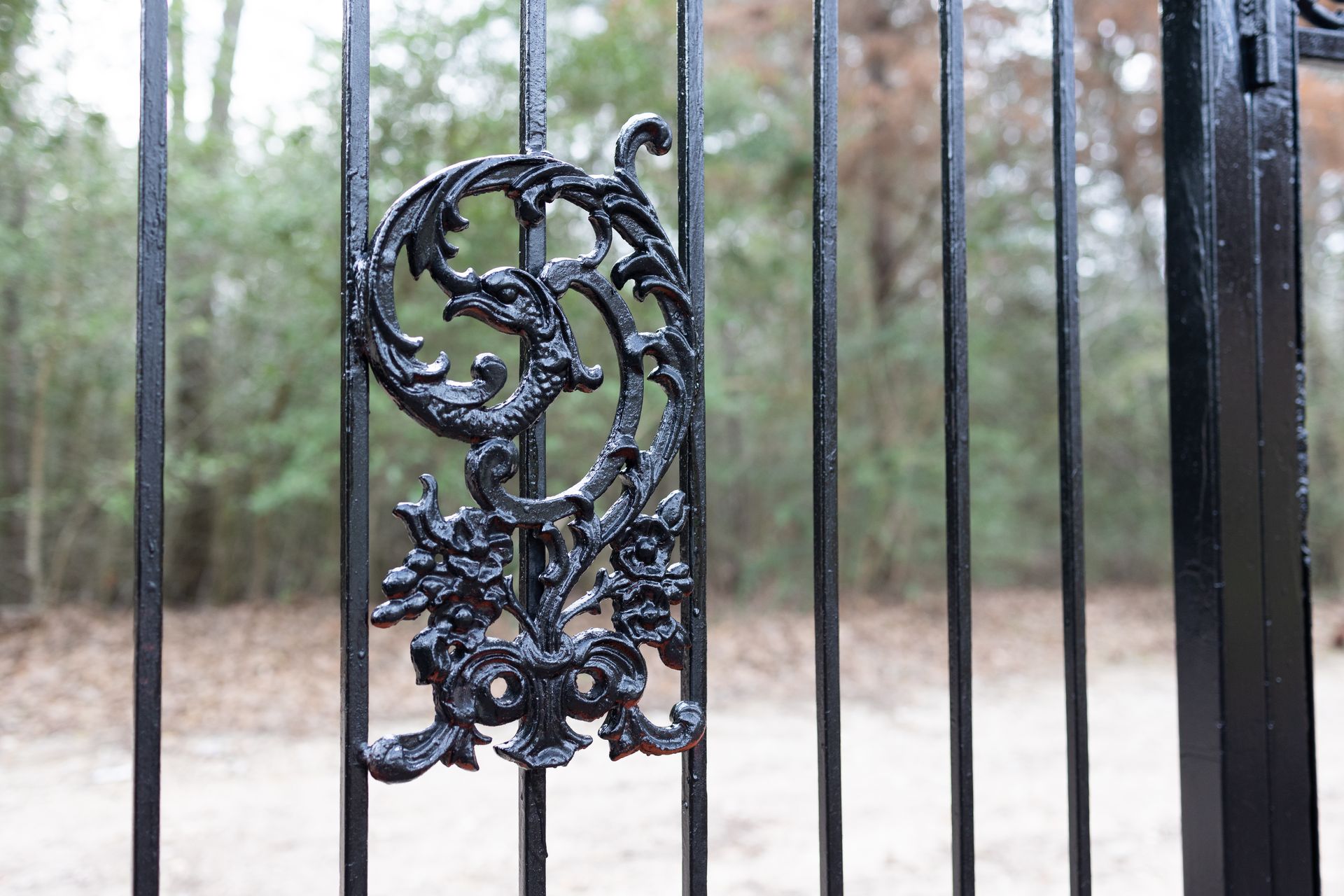 A black wrought iron gate with a floral design on it
