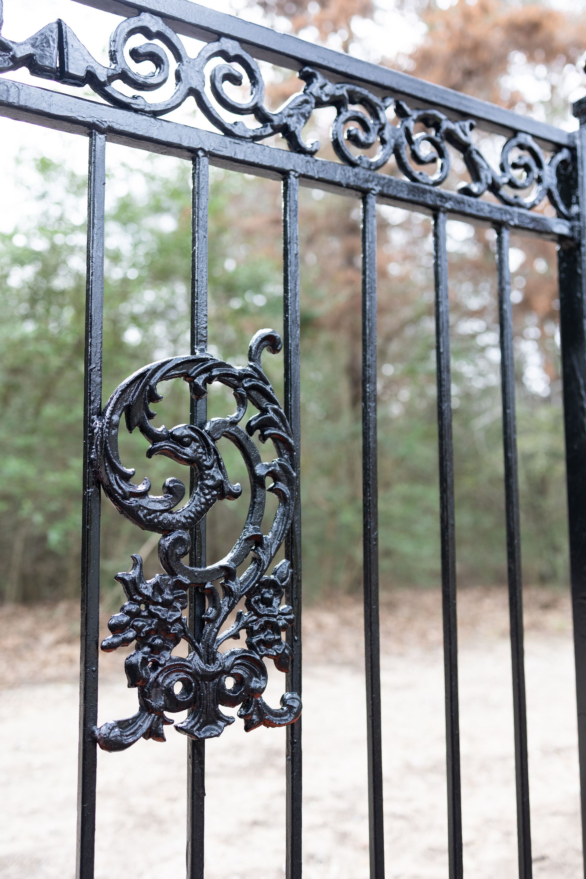 A close up of a black wrought iron gate with a design on it.