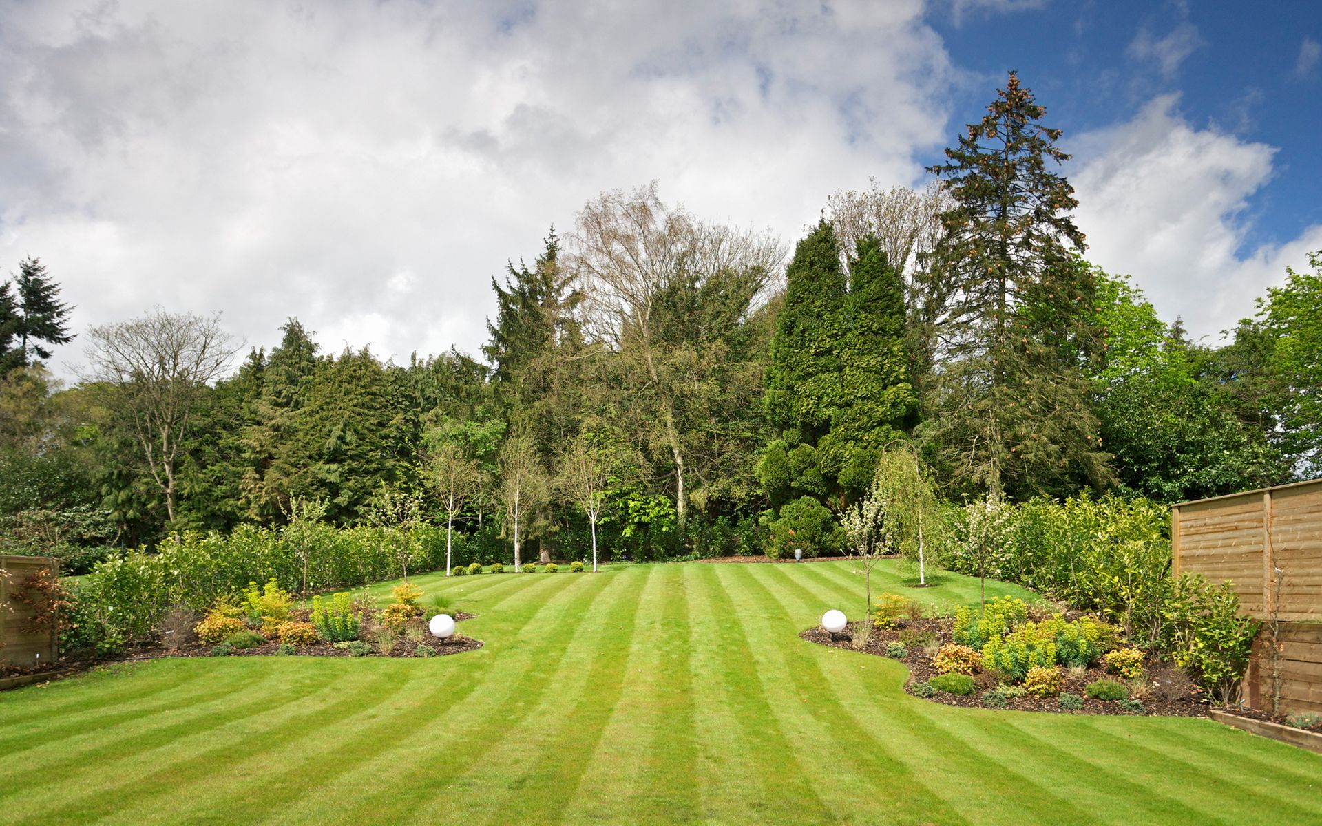 A lush green lawn with trees in the background